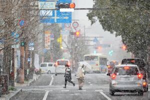 雪が降りしきる中通りを行き交う歩行者＝７日午後４時３５分ごろ、佐賀市駅前中央