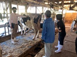 乳量アップのため、乳牛の状況を確認する生産者やＪＡ、県などの関係者＝武雄市（提供写真）