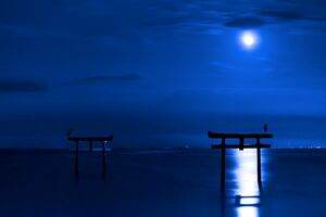 日本百名月に認定された「海中鳥居を照らす月」（太良町提供）