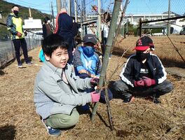 桜の苗木を植樹する児童＝伊万里市山代町の浦ノ崎運動広場