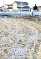 今季初観測となった霜で、稲刈り後の田んぼは真っ白になった＝２７日午前７時すぎ、佐賀市久保田町