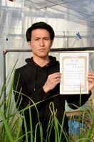 トビイロウンカに強い稲の研究で表彰された佐賀大院生の馬場海希さん＝佐賀市の佐賀大本庄キャンパス内の温室