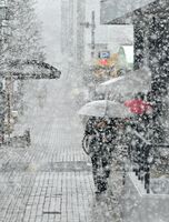 風雪で白くかすむ佐賀市中心部＝１７日午前１０時ごろ、佐賀市松原
