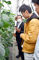 学生にキュウリの状態を示しつつ栽培のコツを説明する山口仁司さん（左）＝佐賀市川副町の県農業大学校