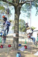 ロープを使った木登り「ツリーイング」を楽しむ子どもたち＝佐賀市の佐賀県立森林公園