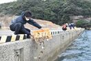 伊万里湾にヒラメの稚魚放流　日本釣振興会佐賀県支部