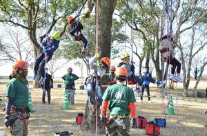 ロープを使った木登り「ツリーイング」を楽しむ子どもたち＝佐賀市の佐賀県立森林公園