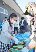 ノリの手すきを体験する参加者＝佐賀市東与賀町の東よか干潟ビジターセンターひがさす