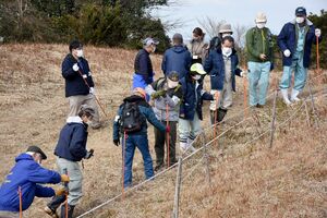 オキナグサの群生地の周りに柵を設置する参加者＝基山町の基山山頂付近