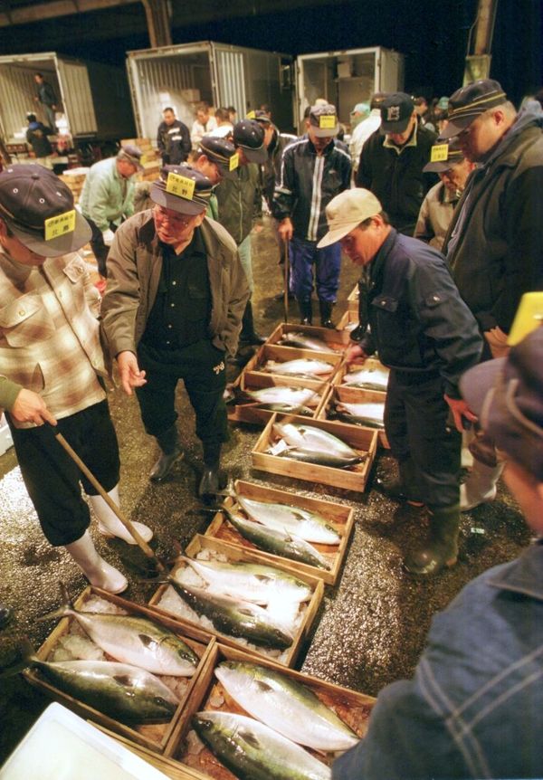 写真 画像 平成 この日 伊万里魚市場 最後の競り 平成１３年１２月３０日 １７年前 ５５年の歴史 閉場 まちの話題 佐賀新聞ニュース 佐賀新聞live